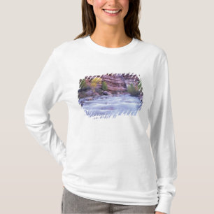 North America, USA, Utah, Zion National Park. 2 T-Shirt