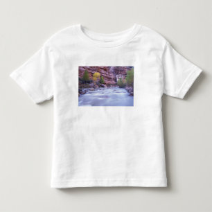 North America, USA, Utah, Zion National Park. 2 Toddler T-Shirt