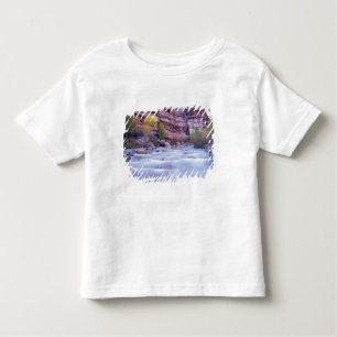 North America, USA, Utah, Zion National Park. 2 Toddler T-Shirt