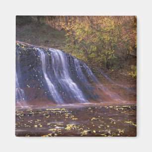 North America, USA, Utah, Zion National Park. Magnet
