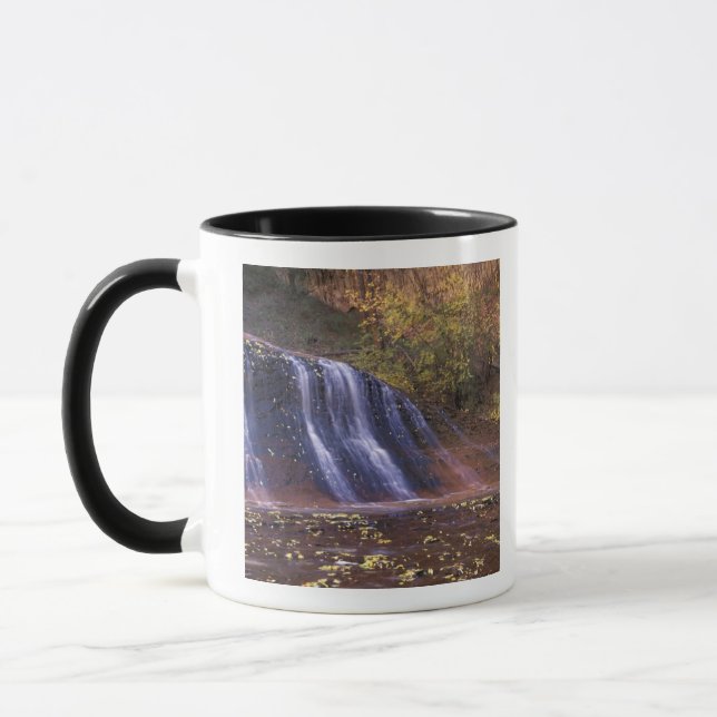 North America, USA, Utah, Zion National Park. Mug (Left)