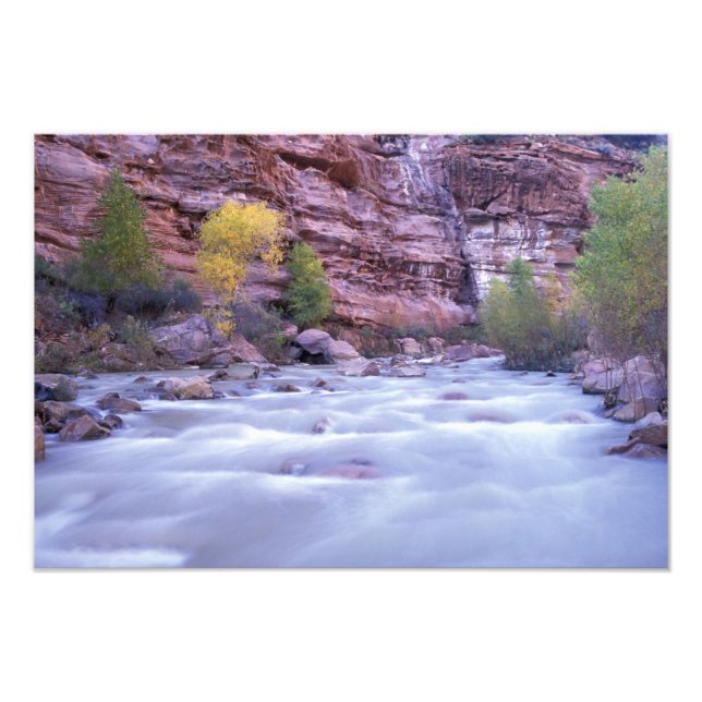North America, USA, Utah, Zion National Park. Photo Print (Front)