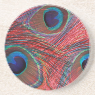 North America, USA, WA, Redmond, Peacock Coaster