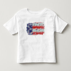 North America, USA, WA, Redmond, U.S. Flag Toddler T-Shirt