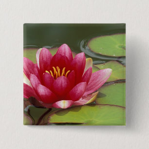 North America, USA, WA, Seattle, Woodland Park 15 Cm Square Badge