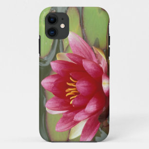 North America, USA, WA, Seattle, Woodland Park 2 iPhone 11 Case