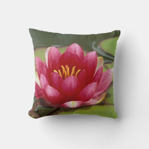 North America, USA, WA, Seattle, Woodland Park 2 Cushion