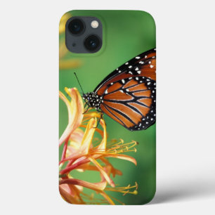 North America, USA, WA, Seattle, Woodland Park iPhone 13 Case
