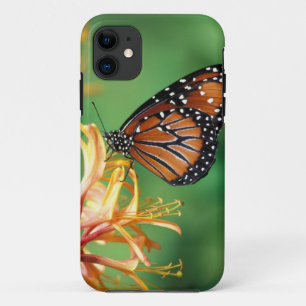 North America, USA, WA, Seattle, Woodland Park iPhone 11 Case