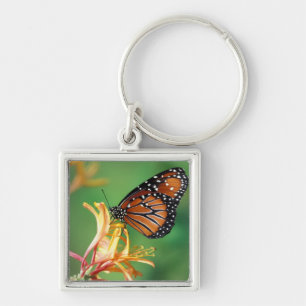 North America, USA, WA, Seattle, Woodland Park Key Ring