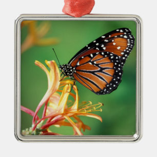North America, USA, WA, Seattle, Woodland Park Metal Tree Decoration