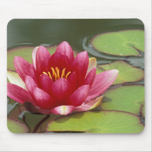 North America, USA, WA, Seattle, Woodland Park Mouse Pad