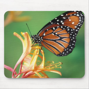 North America, USA, WA, Seattle, Woodland Park Mouse Pad