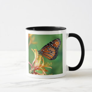 North America, USA, WA, Seattle, Woodland Park Mug
