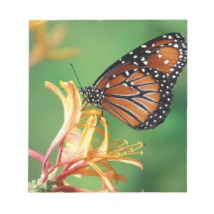 North America, USA, WA, Seattle, Woodland Park Notepad
