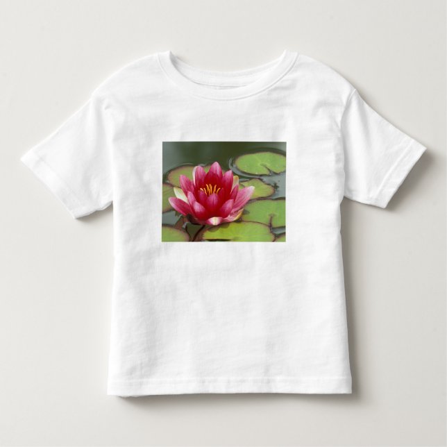 North America, USA, WA, Seattle, Woodland Park Toddler T-Shirt (Front)