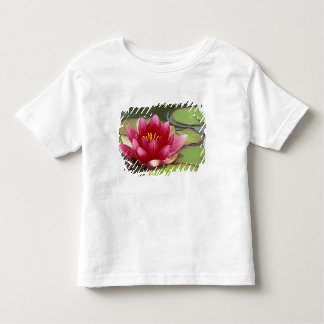 North America, USA, WA, Seattle, Woodland Park Toddler T-Shirt (Front)