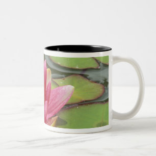 North America, USA, WA, Seattle, Woodland Park Two-Tone Coffee Mug