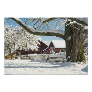 North America, USA, WA, Whidbey Island. 2 Photo Print