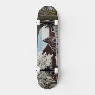 North America, USA, WA, Whidbey Island. 2 Skateboard