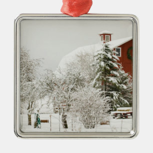 North America, USA, WA, Whidbey Island. Metal Tree Decoration