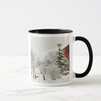 North America, USA, WA, Whidbey Island. Mug