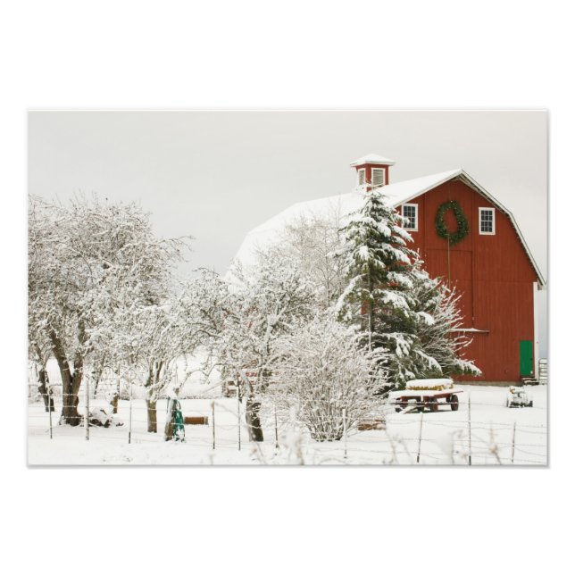 North America, USA, WA, Whidbey Island. Photo Print (Front)