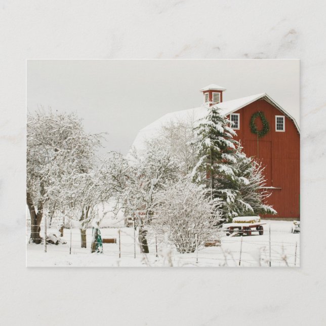 North America, USA, WA, Whidbey Island. Postcard (Front)