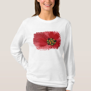 North America, USA, WA, Woodinville, Red 2 T-Shirt