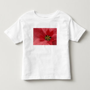 North America, USA, WA, Woodinville, Red 2 Toddler T-Shirt