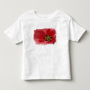 North America, USA, WA, Woodinville, Red 2 Toddler T-Shirt