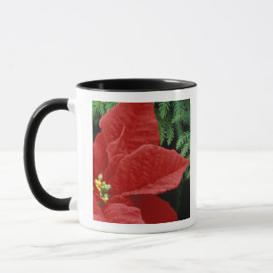 North America, USA, WA, Woodinville, Red Mug