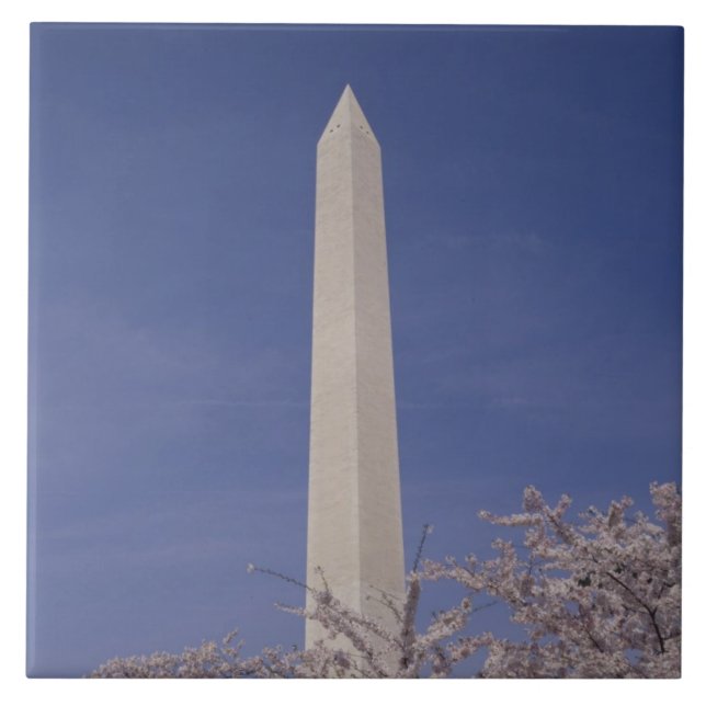 North America, USA, Washington D.C.. Washington Ceramic Tile (Front)