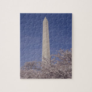 North America, USA, Washington D.C.. Washington Jigsaw Puzzle