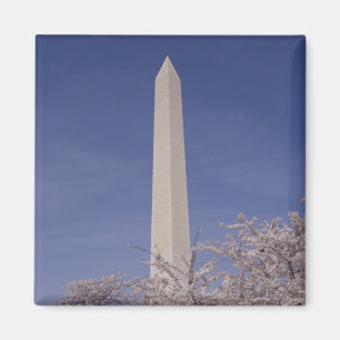 North America, USA, Washington D.C.. Washington Magnet