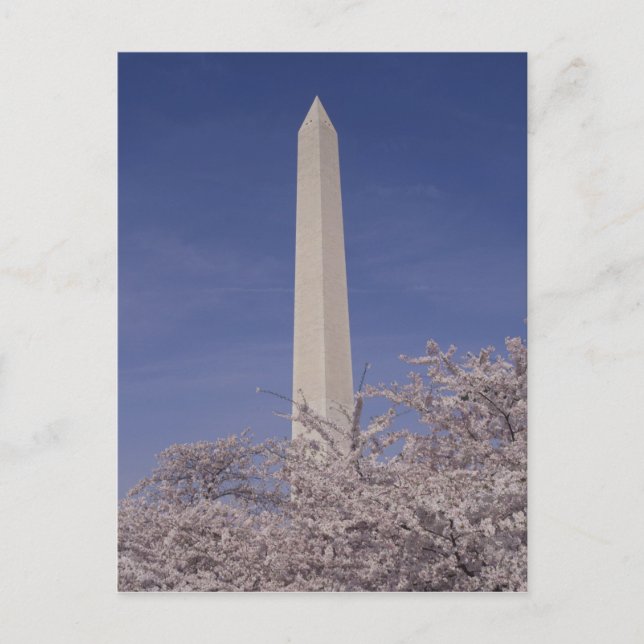 North America, USA, Washington D.C.. Washington Postcard (Front)