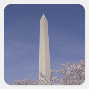 North America, USA, Washington D.C.. Washington Square Sticker