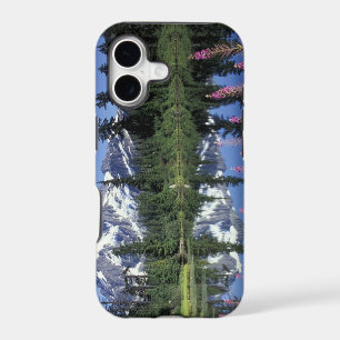 North America, USA, Washington, Heather Meadows