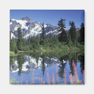 North America, USA, Washington, Heather Meadows Magnet