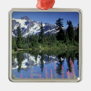North America, USA, Washington, Heather Meadows Metal Tree Decoration