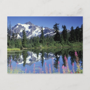North America, USA, Washington, Heather Meadows Postcard