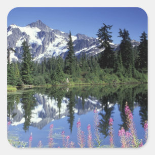 North America, USA, Washington, Heather Meadows Square Sticker