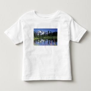 North America, USA, Washington, Heather Meadows Toddler T-Shirt