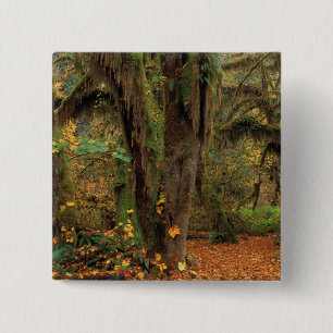 North America; USA; Washington, Moss-Covered 15 Cm Square Badge