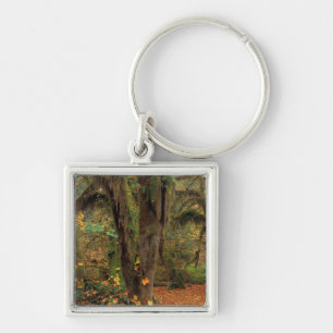 North America; USA; Washington, Moss-Covered Key Ring