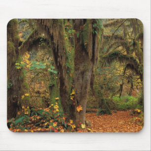North America; USA; Washington, Moss-Covered Mouse Pad