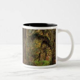 North America; USA; Washington, Moss-Covered Two-Tone Coffee Mug