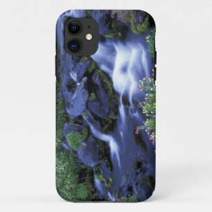 North America, USA, Washington, Mt. Rainier 3 iPhone 11 Case
