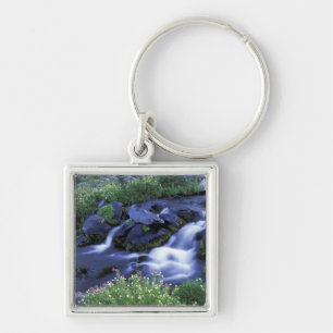 North America, USA, Washington, Mt. Rainier 3 Key Ring