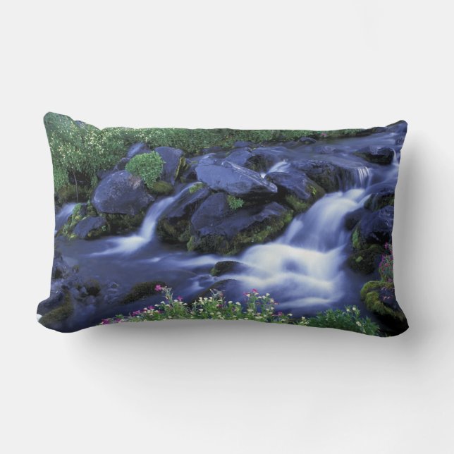 North America, USA, Washington, Mt. Rainier 3 Lumbar Cushion (Front)